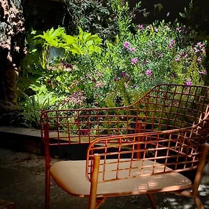 Loquat House Nel Giardino Segreto In Zona Vaticano Rome
